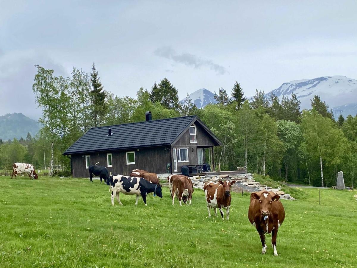 Heinali Hytta Villa Isfjorden Exterior photo